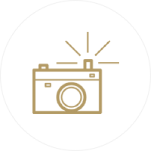 vanilla_icon7 3