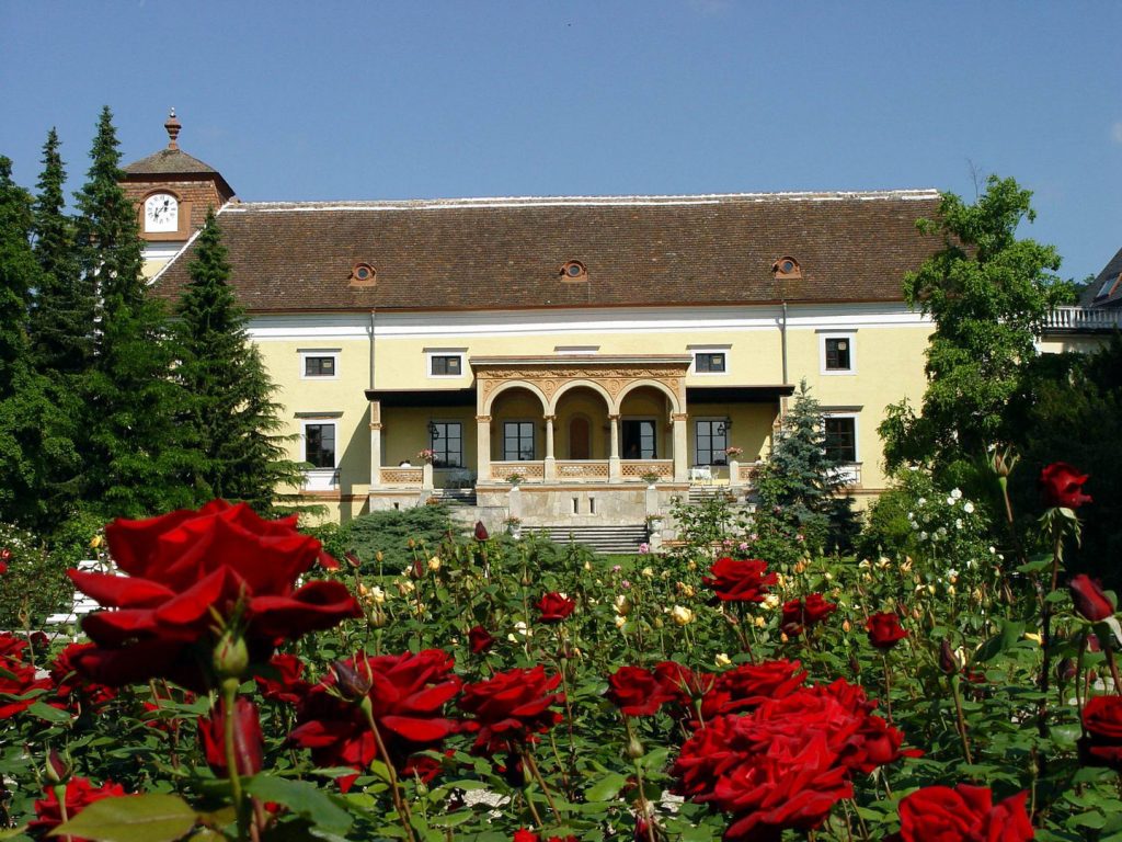 Reiseschnäppchen, Urlaub & Reiseschnäppchen günstig buchen