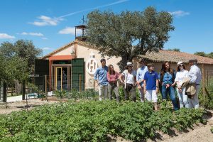 zoritawinehotel30 3