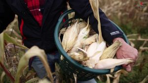 Slow Food Travel Alpe Adria Kärnten Kärnten