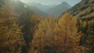 Indian Summer im Nationalpark Hohe Tauern