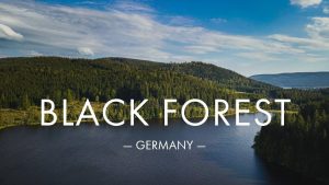 The beautiful BLACK FOREST in GERMANY | Drone Footage in 4K