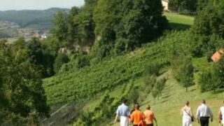 Das Steirische Vulkanland Ferienwohnungen im Thermenland Steiermark, ab 105 € / Woche – Ferienhäuser & Ferienwohnungen im Thermenland Steiermark / Österreich online buchen