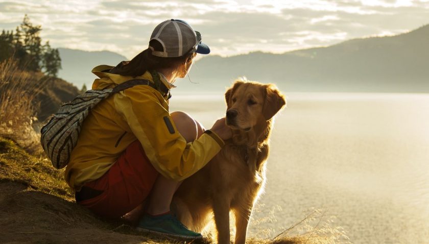 Ferienwohnungen mit Hund am Gardasee günstig finden